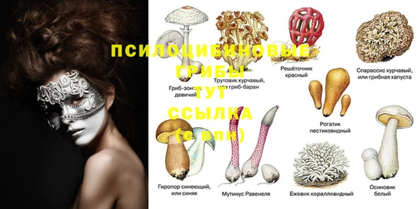 MDMA Иннополис