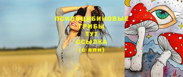 герыч Инсар
