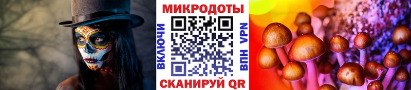 Купить Люберцы Галлюциногенные грибы мухоморы